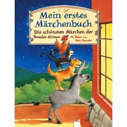 ISBN 9783401081663, Allemand, Couverture rigide, 112 pages
