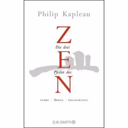 ISBN 9783426291283, Mystère et suspense, Allemand, Couverture rigide, 480 pages