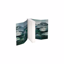 Goldmann IM TAL DES FUCHSES livre Allemand Livre broché