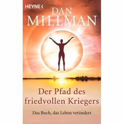 ISBN 9783453702400, Mystère et suspense, Allemand, Livre broché, 304 pages
