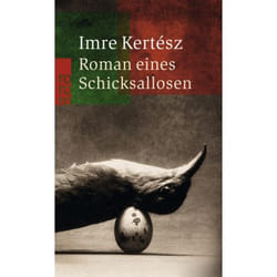 Roman eines Schicksallosen