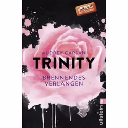 ISBN 9783548289380, Fiction, Allemand, Livre broché, 320 pages