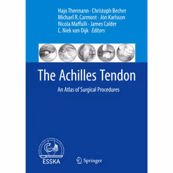 ISBN 9783662540732, Anglais, Couverture rigide, 150 pages
