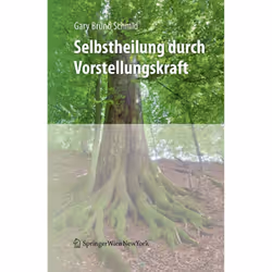 ISBN 9783709101575, Anglais, Couverture rigide, 349 pages
