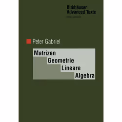 ISBN 9783764353766, Anglais, Couverture rigide, 636 pages