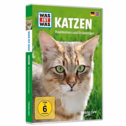 ISBN 9783788642440, DVD, Multilingue, Rainbow Video, 18/11/2016, 1 pièce(s), 89 g