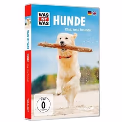ISBN 9783788642563, DVD, Allemand, Rainbow Video, 23/11/2013, 1 pièce(s), 75 g