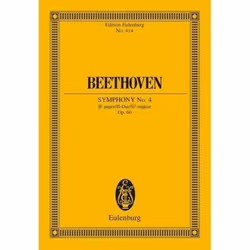 ISBN 9783795761783, Éducation musicale, Multilingue, Livre broché, 220 pages