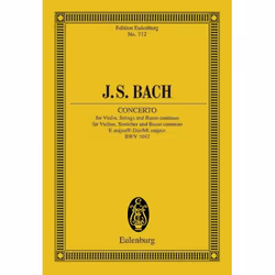 ISBN 9783795762537, Musique, Allemand, 36 pages