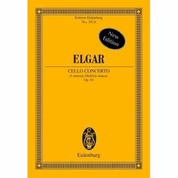 ISBN 9783795767136, Éducation musicale, Livre broché