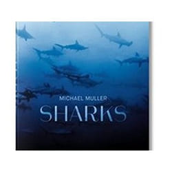 ISBN Michael Muller : Sharks, Face-To-Face with the Ocean's Endangered Predator livre Art & design Anglais Couverture rigide