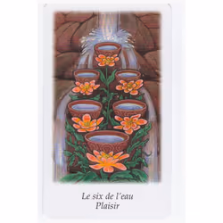 Grimaud TAROT VISION QUEST