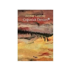 ISBN 9786057728081 livre Roman Turc 135 pages