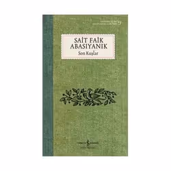 ISBN 9786254054372, Roman, Turc, Livre broché, 144 pages