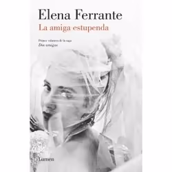 Penguin Random House La amiga estupenda (Dos amigas 1), Roman contemporain, Espagnol, Livre broché, 392 pages