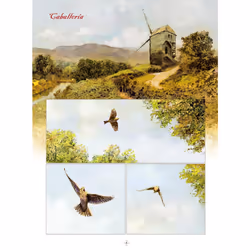 ISBN 9788467933741 livre comédies & nouvelles graphiques Espagnol Couverture rigide