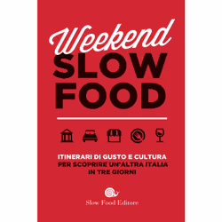 ISBN 9788884995155, Italien, Couverture rigide, 416 pages