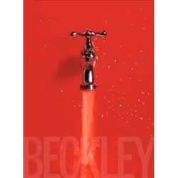 ISBN Bill Beckley and Narrative Art : The Word-Image Riddle and the Aesthetics of Beauty, Art & design, Anglais, Couverture r ...