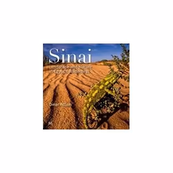 ISBN Sinai: Landscape and Nature in Egypt's Wilderness, Photographie, Anglais, Couverture rigide, 192 pages