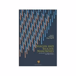 ISBN Silicon and Silicide Nanowires: Applications, Fabrication, and Properties, Education, Anglais, Couverture rigide, 484 pa ...