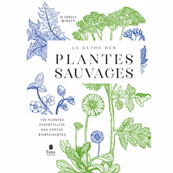 ISBN Le Guide des plantes sauvages - 100 plantes essentielles aux vertus bienfaisantes : Le livre de Carole Minker, métier &  ...
