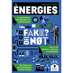 ISBN Fake or not - Energies : Le livre de Maxence CORDIEZ, société, 118 pages