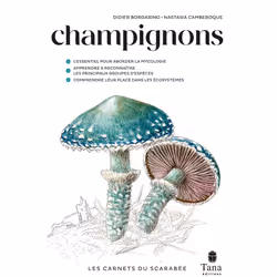 ISBN Champignons : Le livre de Didier Borgarino, Nastasia Camberoque, métier & loisirs, 136 pages