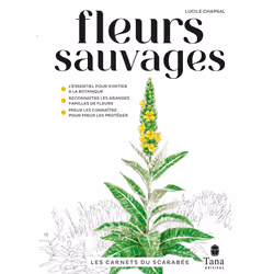 ISBN Les carnets du scarabée - Fleurs sauvages : Le livre de Lucile Chapsal, métier & loisirs, 152 pages