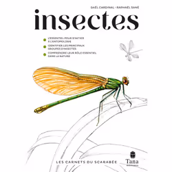ISBN Les carnets du scarabée - Insectes : Le livre de Gael Cardinal, Raphaël Sané, métier & loisirs, 136 pages