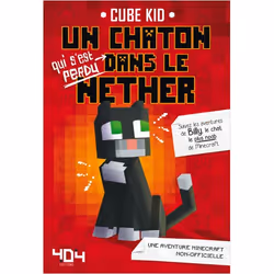 ISBN 9791032401439, Français, Livre broché, 240 pages