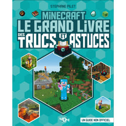 ISBN Minecraft - Le grand livre des trucs et astuces : Le livre de Stéphane Pilet