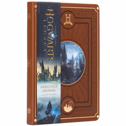 ISBN Harry Potter - Le carnet Hogwarts Legacy : Le livre de Warner Bros, 192 pages