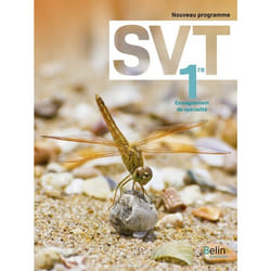 SVT 1RE. ENSEIGNEMENT DE SPECIALITE, EDITION 2019, Prevot Caroline