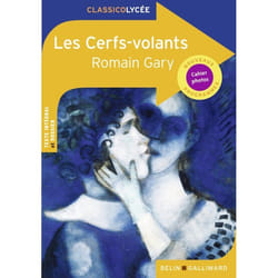 Les Cerfs-volants (Broché)