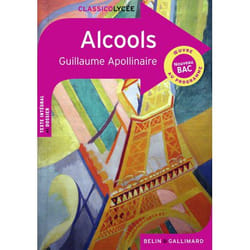 Alcools : nouveau bac (Broché)