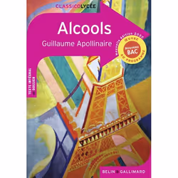 ISBN Alcools – Nouvelle Édition 2020, Français, 256 pages