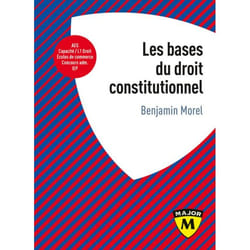 ISBN Les Bases Du Droit Constitutionnel livre