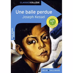ISBN Une Balle Perdue, Français, 224 pages