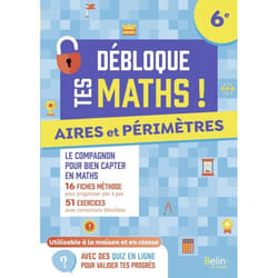 Aires et périmètres (6e) (Broché)