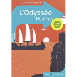 L'Odyssée d'Homère (Broché)