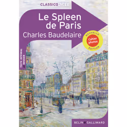 ISBN Le Spleen de Paris, Français, 228 pages