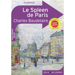 Le spleen de Paris