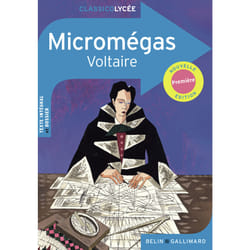 Micromégas