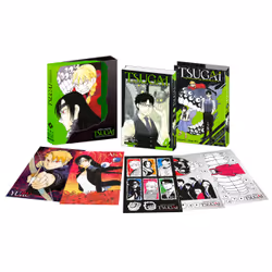 ISBN Tsugai - Daemons of the Shadow Realm - Tome 4 collector : Le livre de Hiromu Arakawa, comédies & nouvelles graphiques, 1 ...
