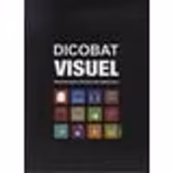 Dicobat visuel : dictionnaire illustré du bâtiment