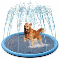 Piscines pour chiens
