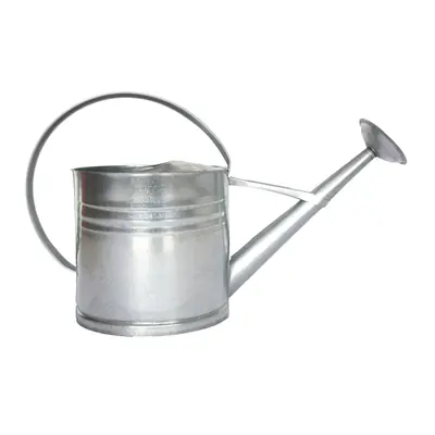 Esschert Design - Arrosoir En Acier Chromé 1 Litre - Design Fin Et Pratique - Pour Plantes D'Intérieur - 36x13x18 Cm