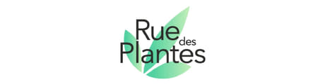 Rue Des Plantes
