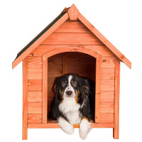 Niches pour chien