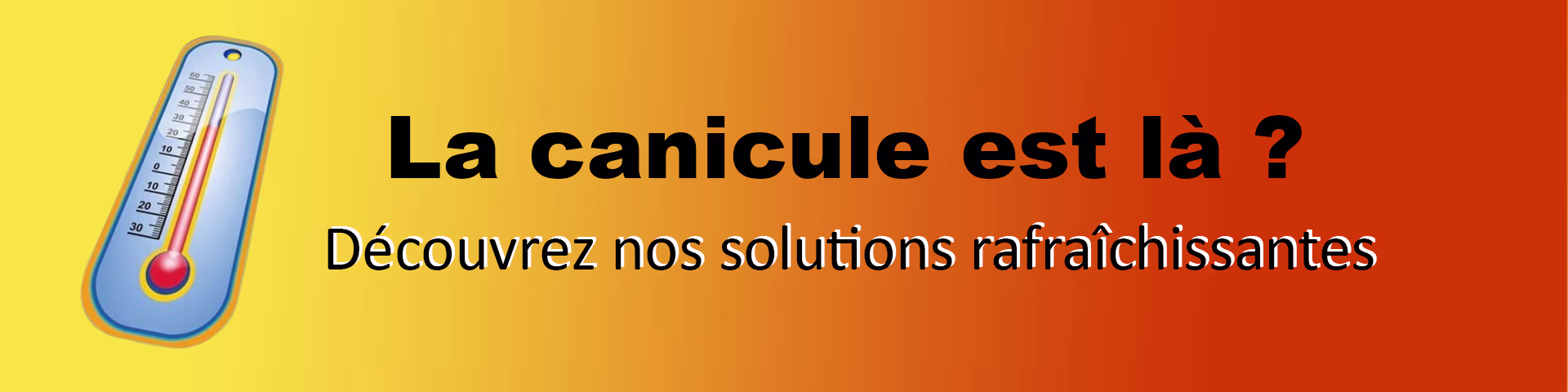 Voir l’offre